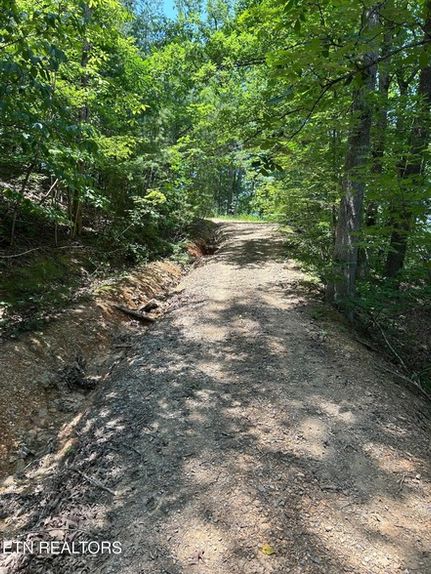 Timberland Property for sale in Sevier County, Tennessee