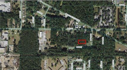 Undeveloped Land for sale in Marion County, Florida