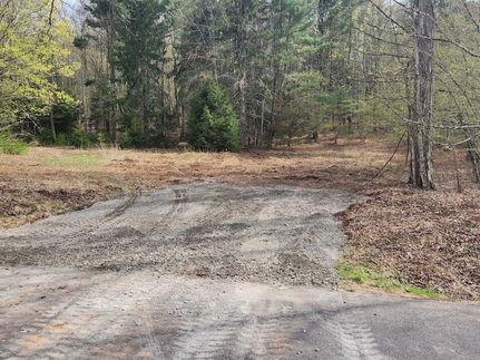 Timberland Property for sale in Ulster County, New York