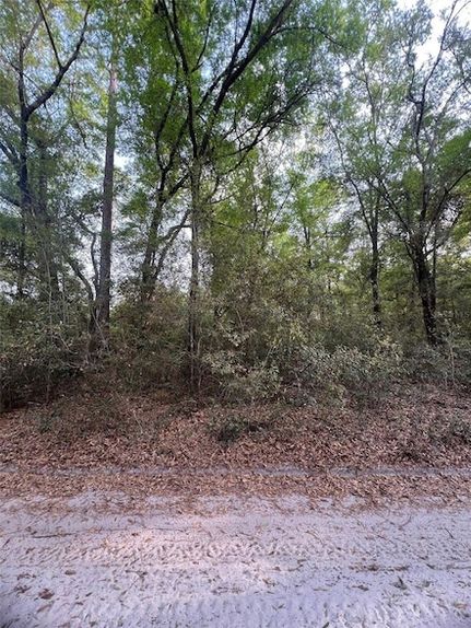 Land for sale in Marion County, Florida