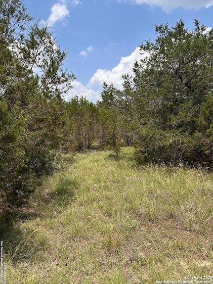Undeveloped Land for sale in Comal County, Texas