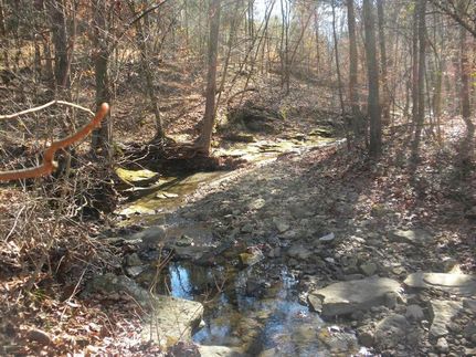 Undeveloped Land for sale in Warren County, Kentucky