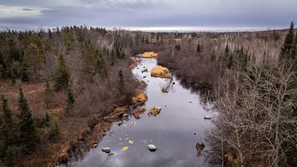 Undeveloped Land for sale in Forest County, Wisconsin