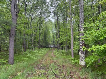 Undeveloped Land for sale in Lake County, Michigan