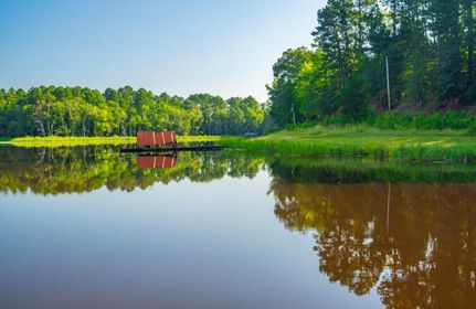 Farm and Ranch for sale in Cass County, Texas