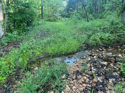 Farm and Ranch for sale in Douglas County, Missouri