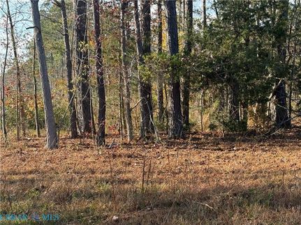 Undeveloped Land for sale in Nottoway County, Virginia
