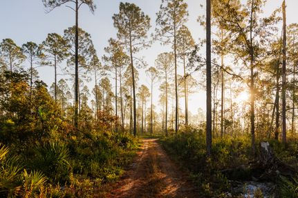 Farm and Ranch for sale in Lowndes County, Georgia