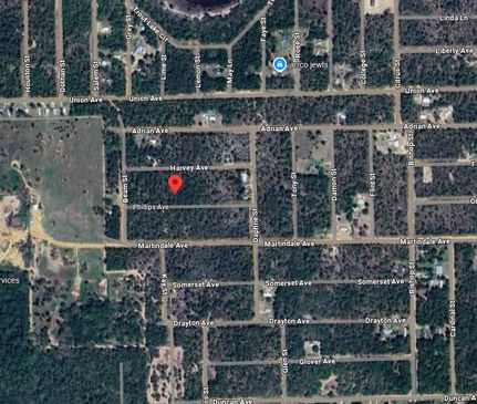Undeveloped Land for sale in Putnam County, Florida