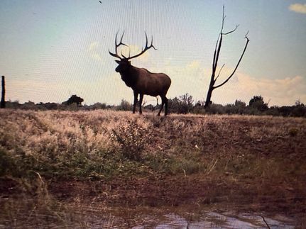 Hunting Property for sale in La Plata County, Colorado