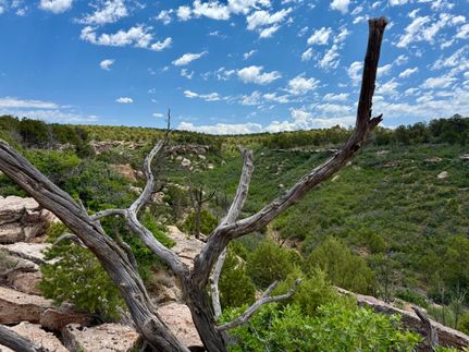 Land for sale in Dolores County, Colorado