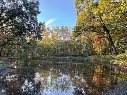 Land for sale in Bond County, Illinois