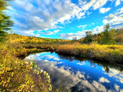 Farm and Ranch for sale in Lewis County, New York