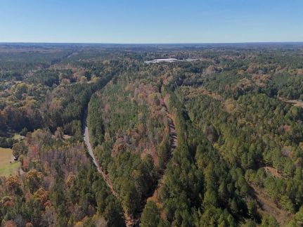 Timberland Property for sale in Lee County, North Carolina