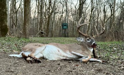 Farm and Ranch for sale in Coahoma County, Mississippi