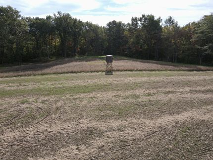 Land for sale in Bond County, Illinois