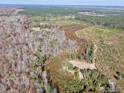 Timberland Property for sale in Hampton County, South Carolina