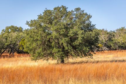 Recreational Property for sale in Lampasas County, Texas