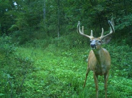 Recreational Property for sale in Richland County, Wisconsin