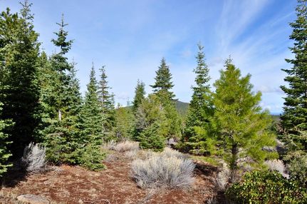 Recreational Property for sale in Modoc County, California