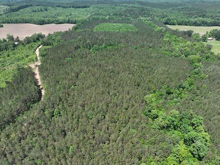 Timberland Property in Calhoun County, Mississippi