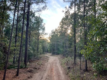 Timberland Property for sale in Fairfield County, South Carolina