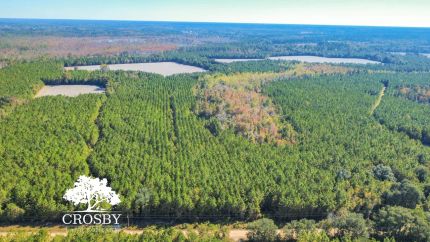 Farm and Ranch for sale in Bulloch County, Georgia