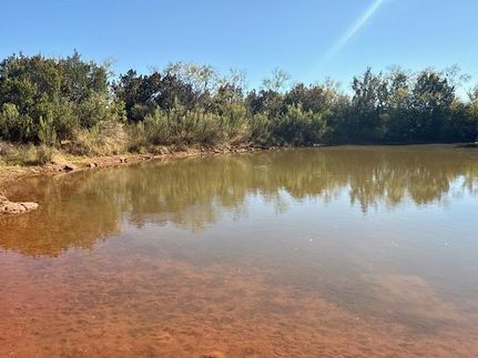 Land for sale in Coke County, Texas