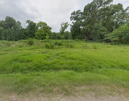 Undeveloped Land for sale in Liberty County, Texas