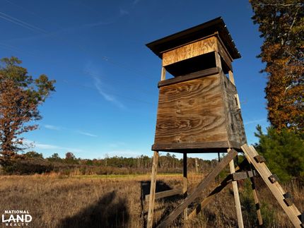 Timberland Property for sale in Mecklenburg County, Virginia