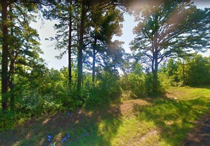 Land for sale in Marion County, Texas