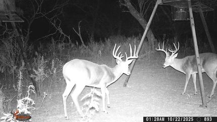 Recreational Property for sale in Brown County, Texas