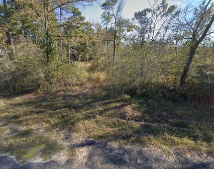 Undeveloped Land for sale in Walker County, Texas