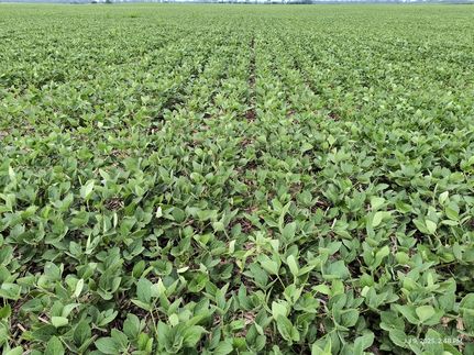 Farm and Ranch for sale in Madison County, Ohio