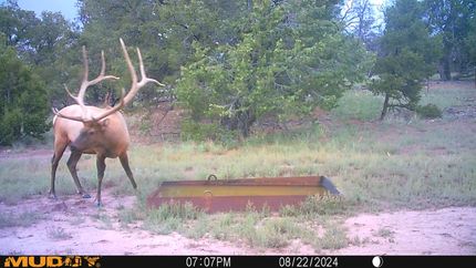 Recreational Property in Catron County, New Mexico