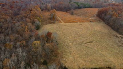 Undeveloped Land for sale in Lauderdale County, Alabama