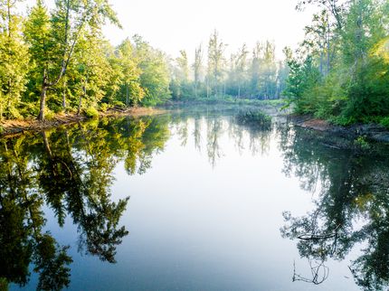 Farm and Ranch for sale in Itawamba County, Mississippi