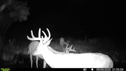 Undeveloped Land in Deuel County, South Dakota