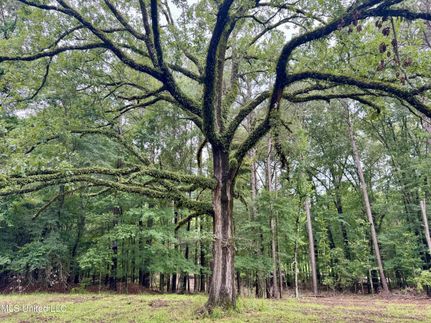 Timberland Property for sale in Madison County, Mississippi