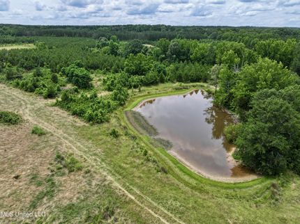 Timberland Property for sale in Holmes County, Mississippi