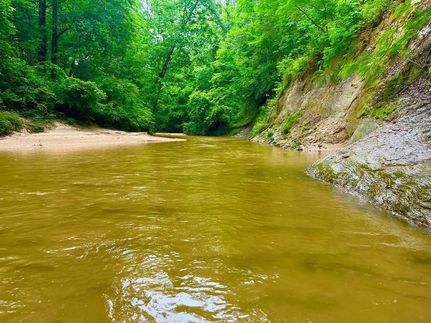 Lakefront Property for sale in Simpson County, Mississippi