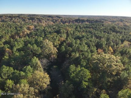 Land for sale in Yazoo County, Mississippi