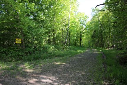 Undeveloped Land for sale in Taylor County, Wisconsin