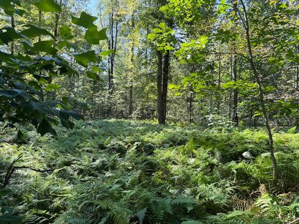 Land for sale in Erie County, Pennsylvania