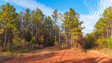 Undeveloped Land for sale in Chambers County, Alabama