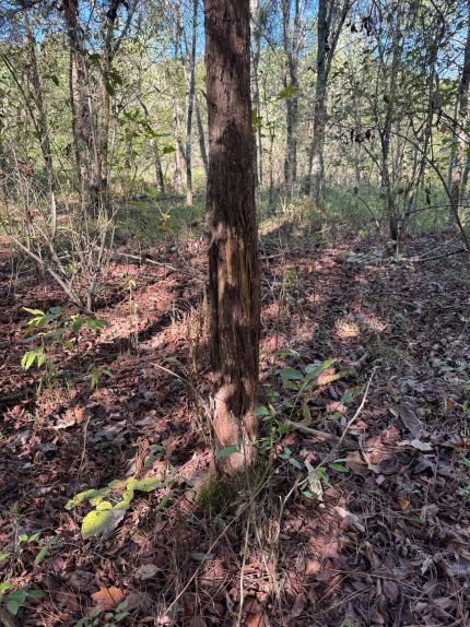 Land in Ohio County, Kentucky