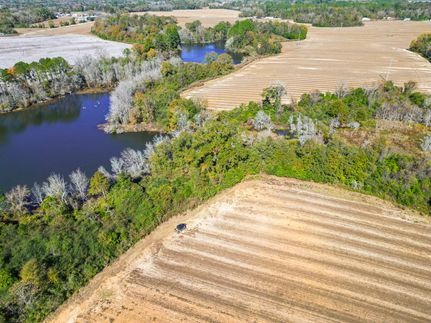 Undeveloped Land for sale in Turner County, Georgia