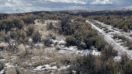 Undeveloped Land for sale in Elko County, Nevada