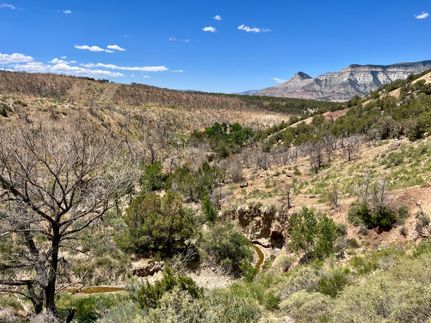 Hunting Property for sale in Garfield County, Colorado