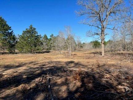 Undeveloped Land for sale in Bastrop County, Texas
